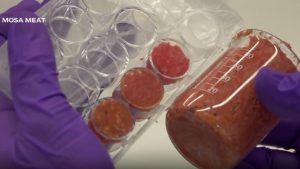 mancare din laborator